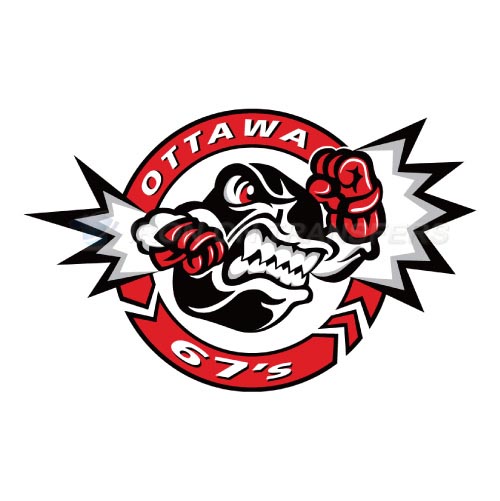 Ottawa 67s Iron-on Stickers (Heat Transfers)NO.7369
